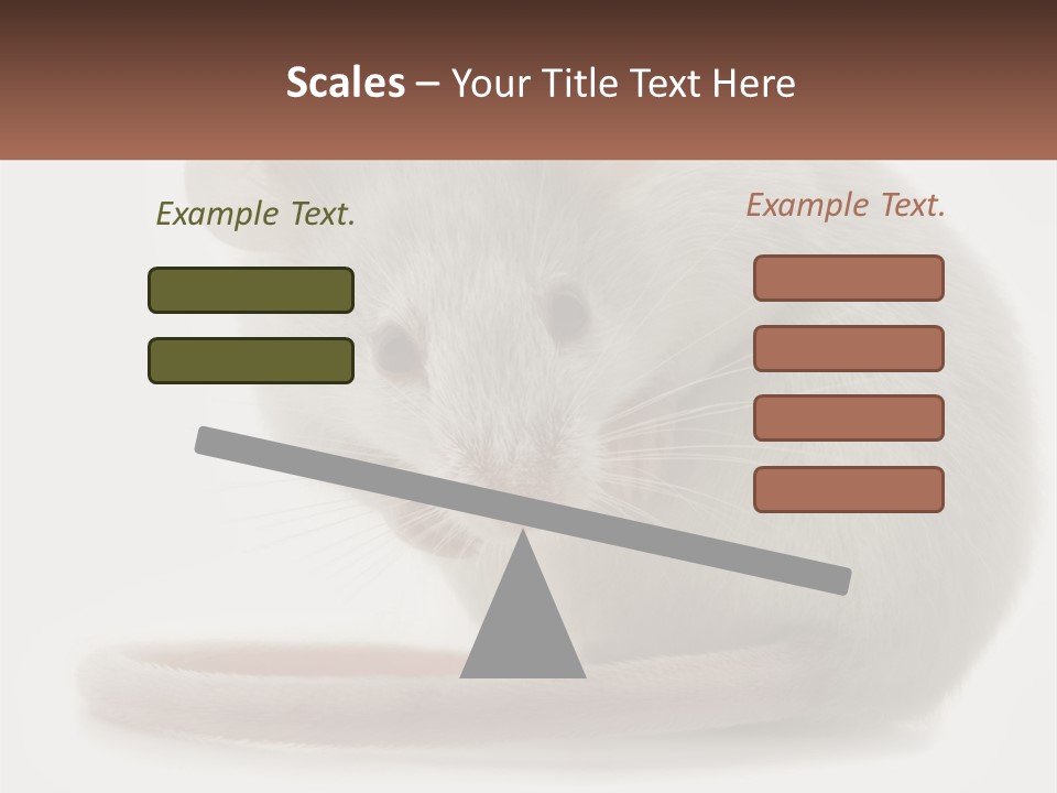 Switch Part Home PowerPoint Template