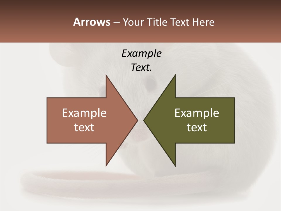 Switch Part Home PowerPoint Template