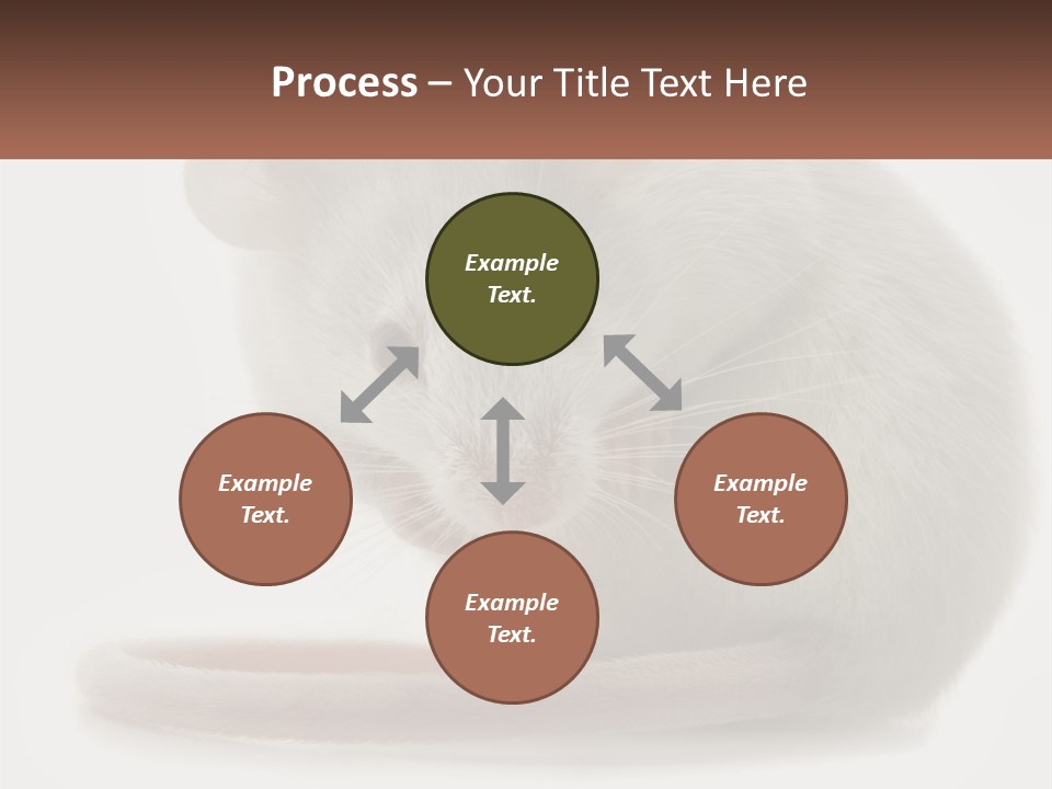 Switch Part Home PowerPoint Template