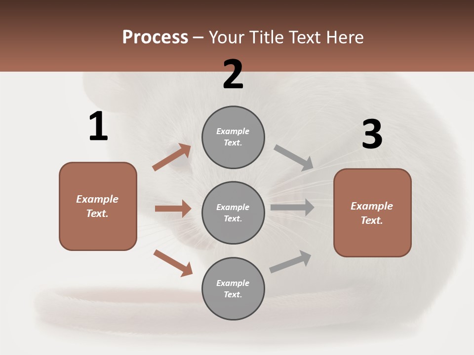 Switch Part Home PowerPoint Template