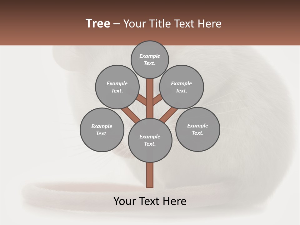 Switch Part Home PowerPoint Template