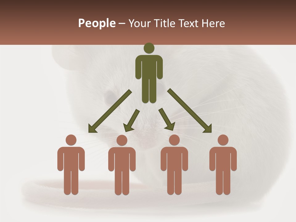 Switch Part Home PowerPoint Template