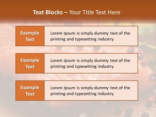 Unit Home Ventilation PowerPoint Template