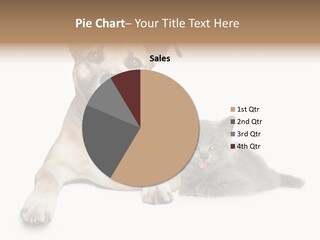 Remote Switch Heat PowerPoint Template