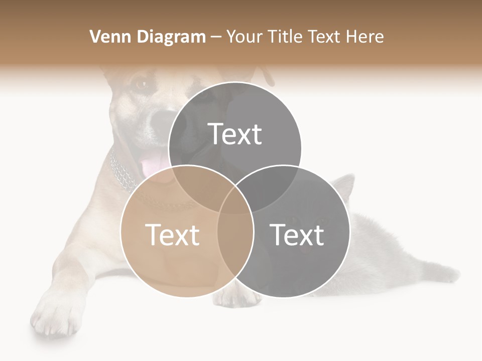 Remote Switch Heat PowerPoint Template