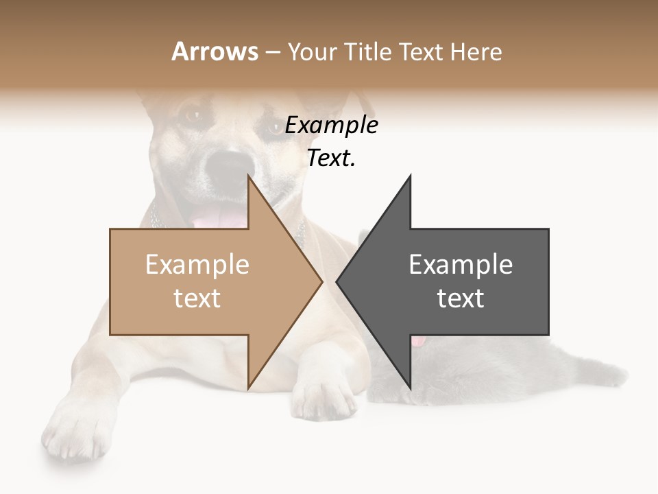 Remote Switch Heat PowerPoint Template