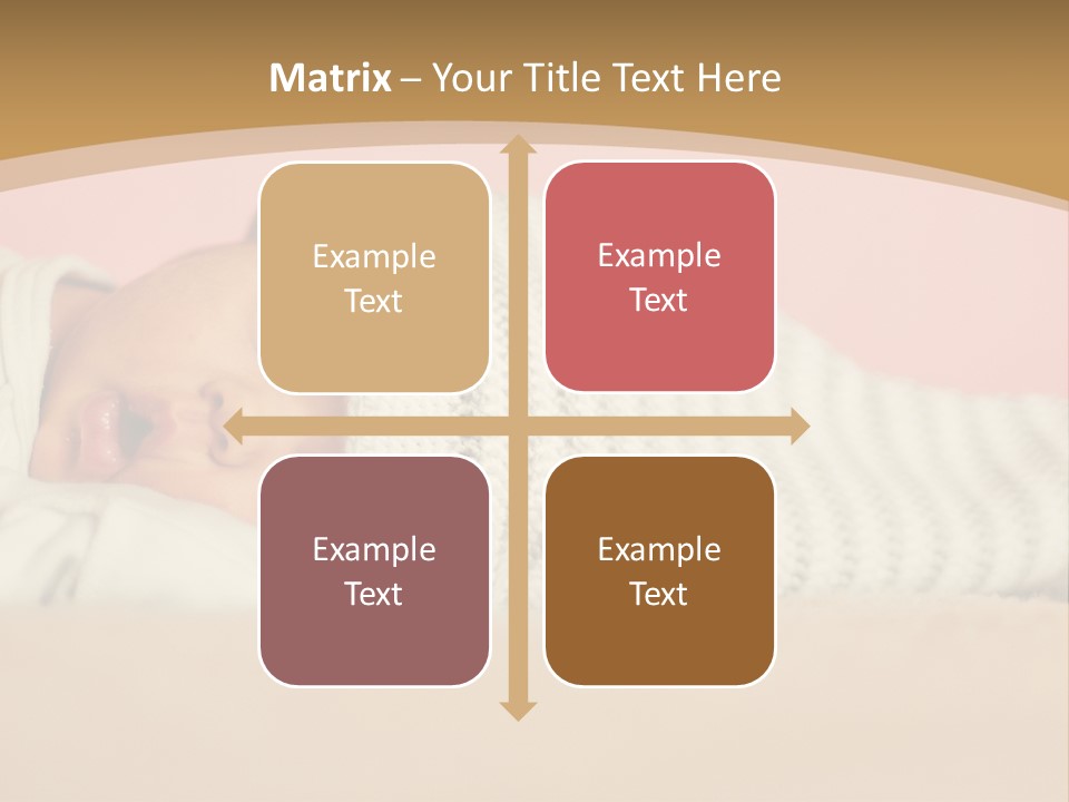 Home House Condition PowerPoint Template