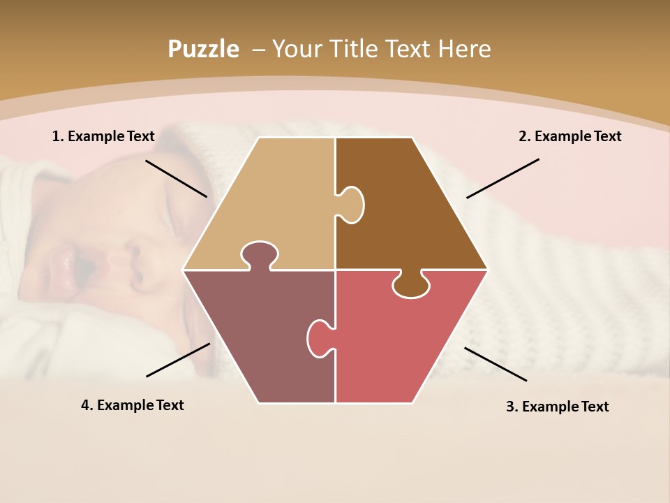 Home House Condition PowerPoint Template
