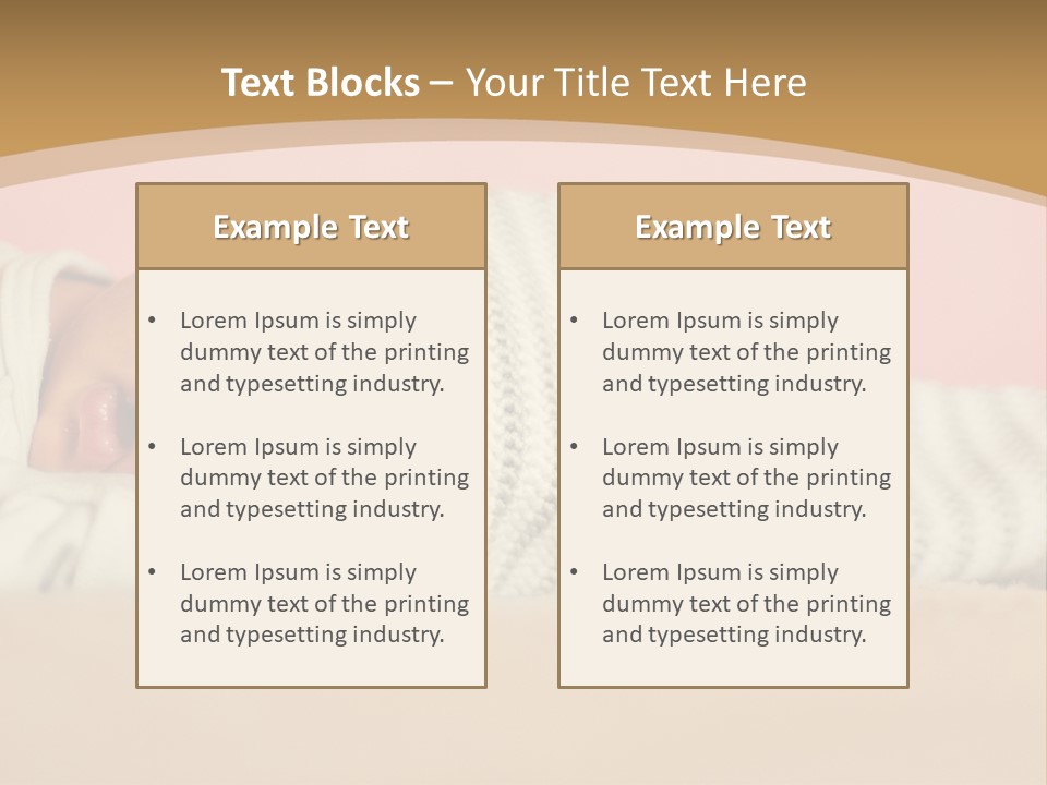 Home House Condition PowerPoint Template