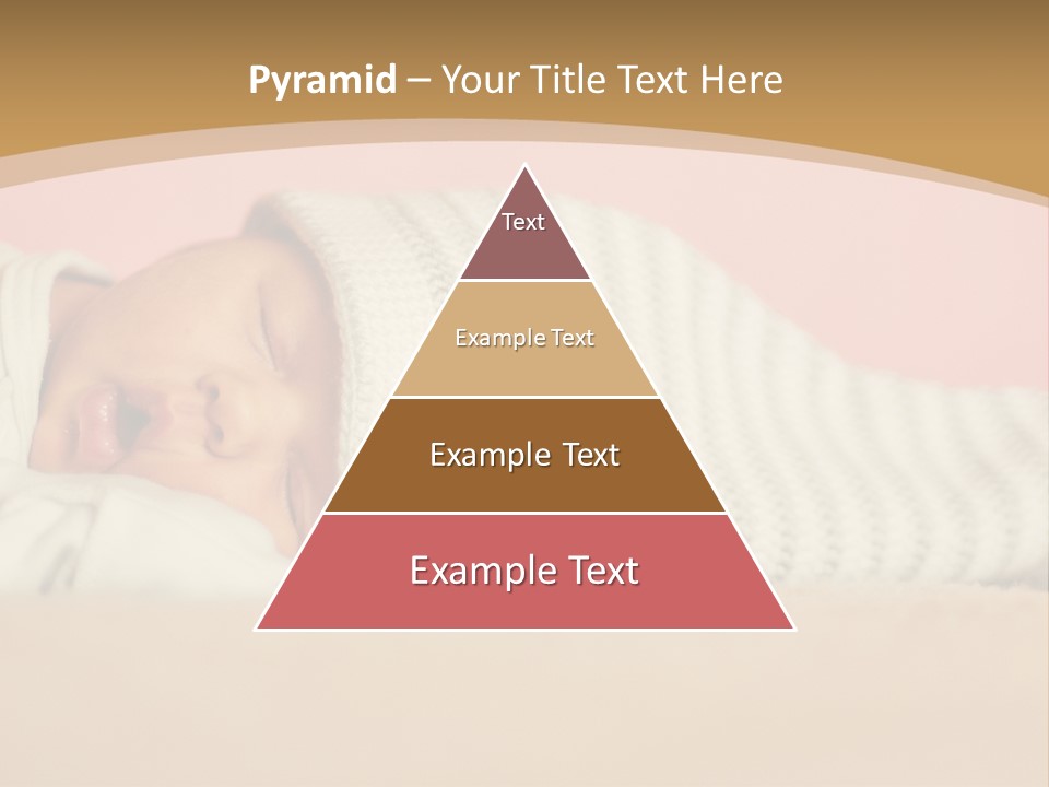 Home House Condition PowerPoint Template