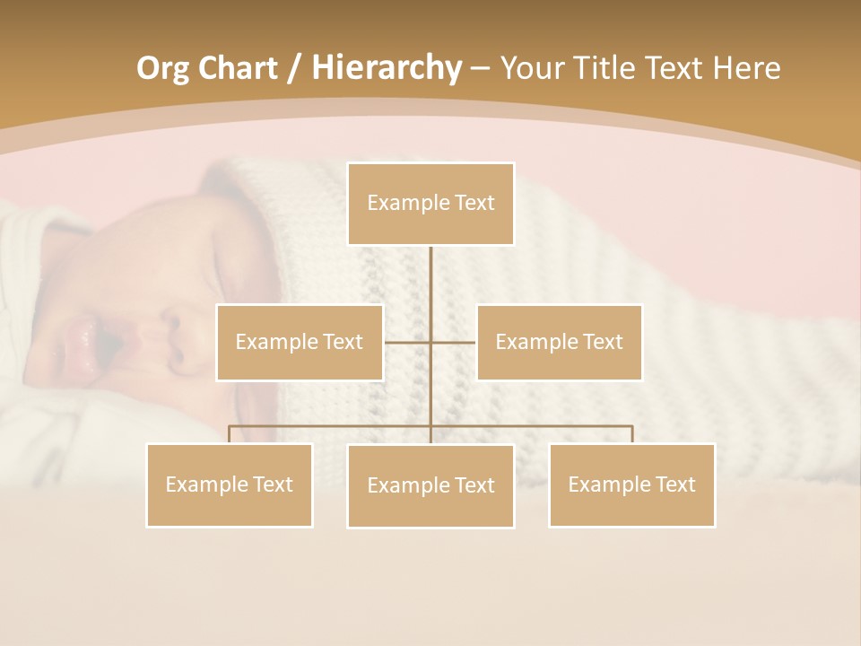Home House Condition PowerPoint Template