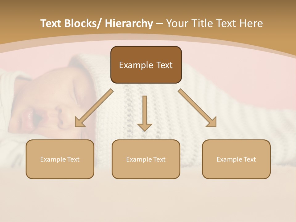 Home House Condition PowerPoint Template