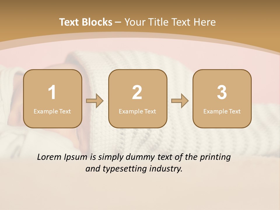 Home House Condition PowerPoint Template
