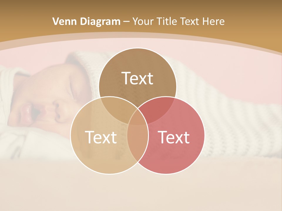 Home House Condition PowerPoint Template