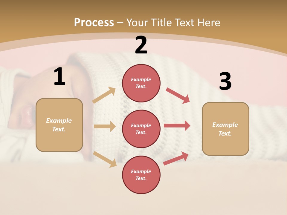 Home House Condition PowerPoint Template