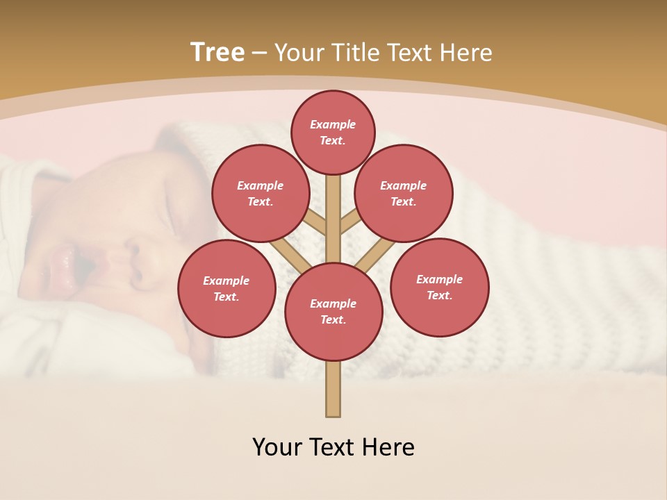 Home House Condition PowerPoint Template