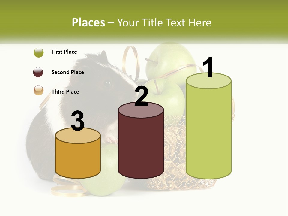 White Cool Cold PowerPoint Template