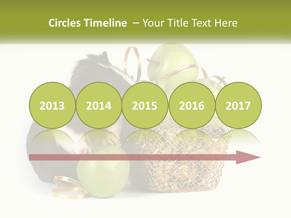 White Cool Cold PowerPoint Template