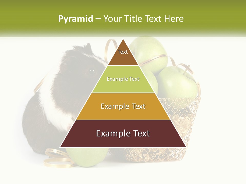 White Cool Cold PowerPoint Template