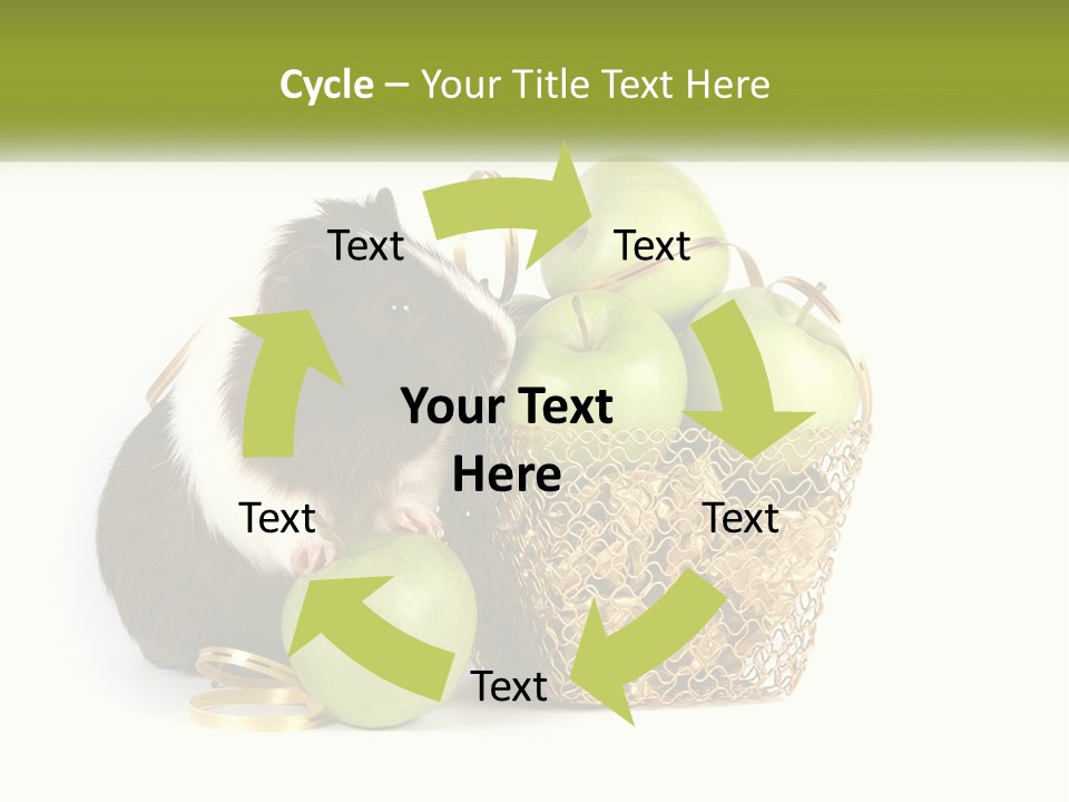 White Cool Cold PowerPoint Template