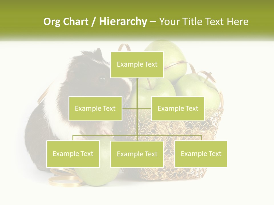 White Cool Cold PowerPoint Template