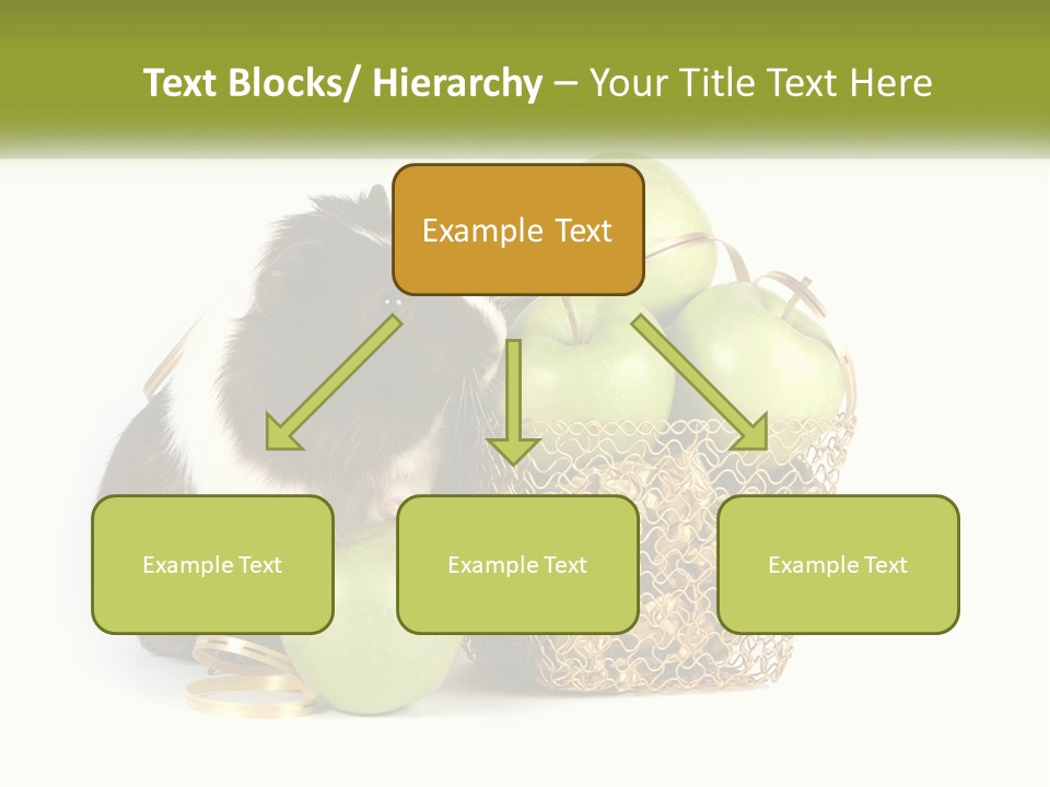 White Cool Cold PowerPoint Template