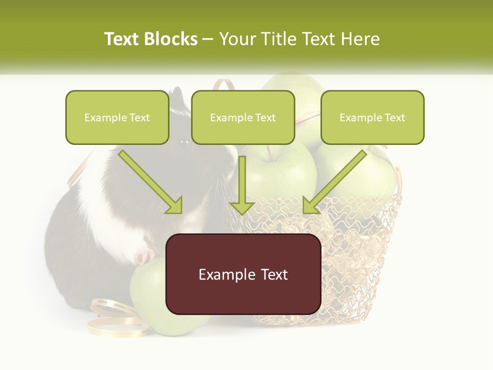 White Cool Cold PowerPoint Template