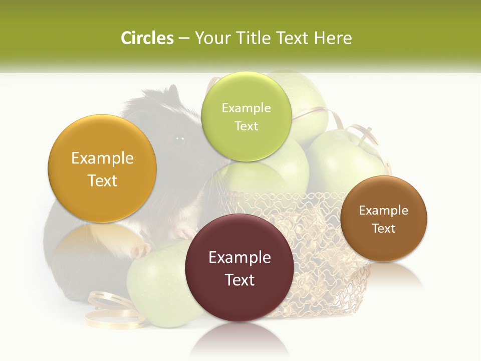 White Cool Cold PowerPoint Template