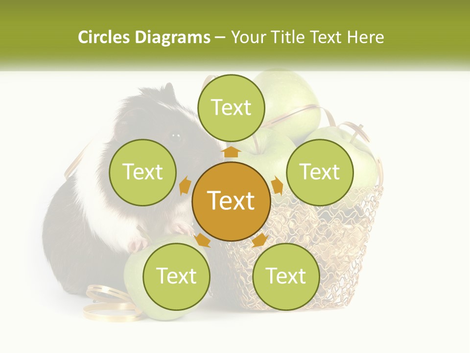 White Cool Cold PowerPoint Template