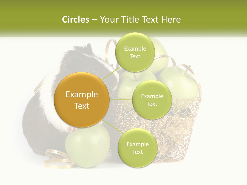 White Cool Cold PowerPoint Template