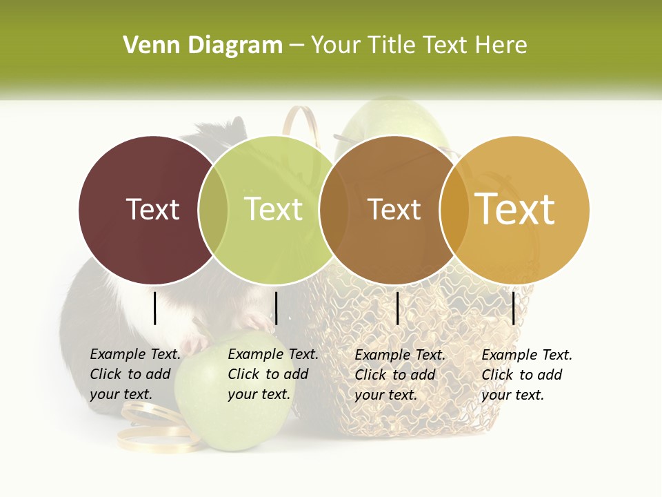 White Cool Cold PowerPoint Template