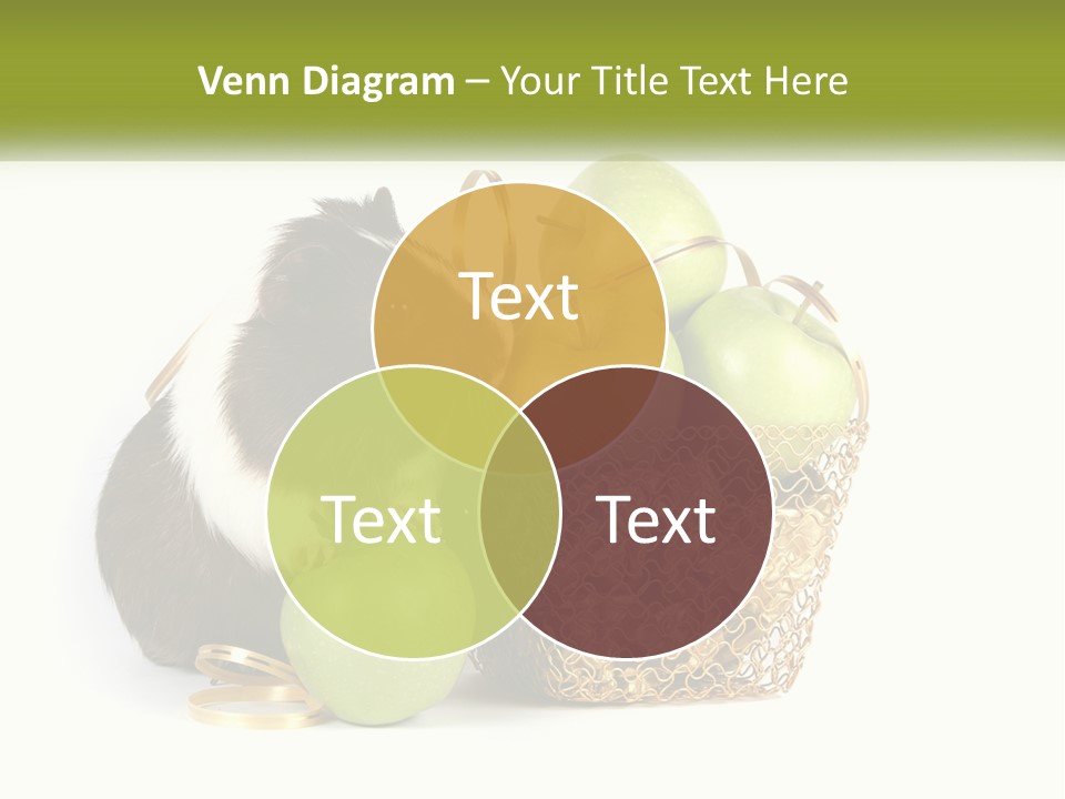 White Cool Cold PowerPoint Template