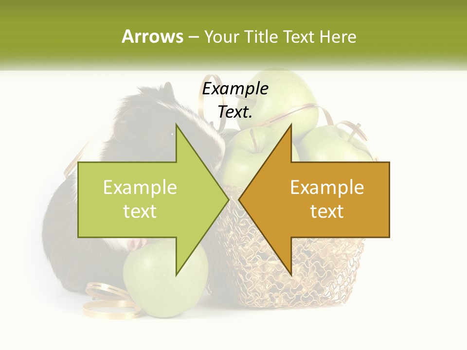 White Cool Cold PowerPoint Template