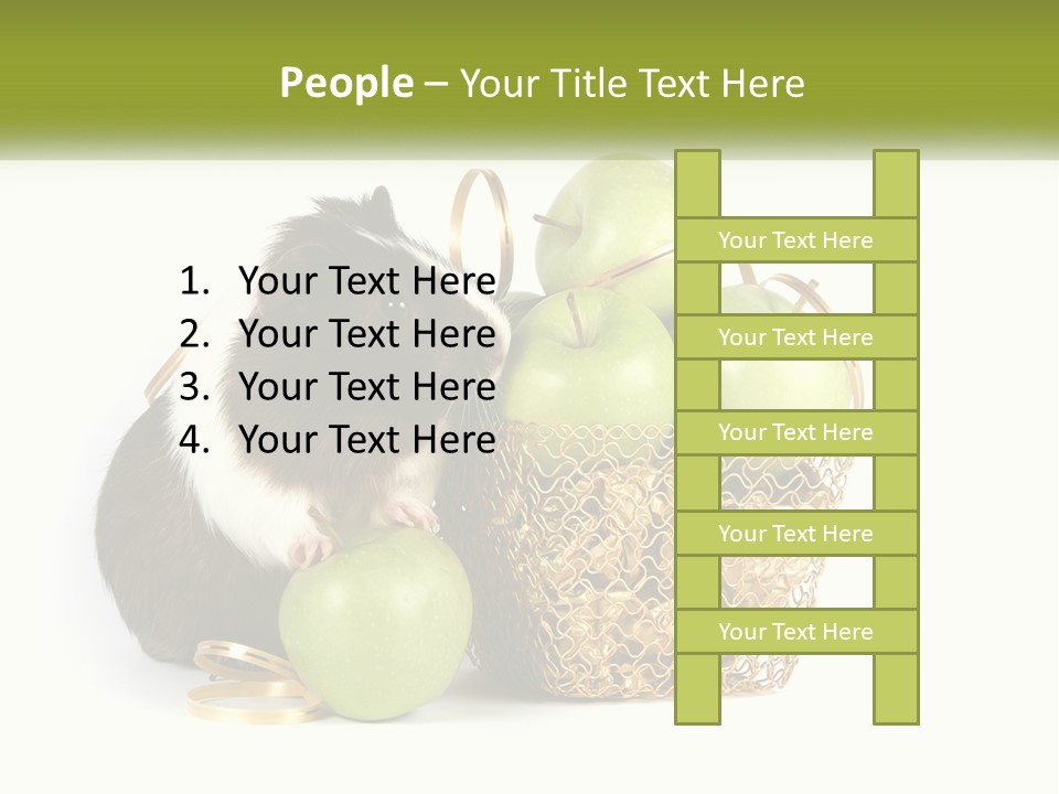 White Cool Cold PowerPoint Template