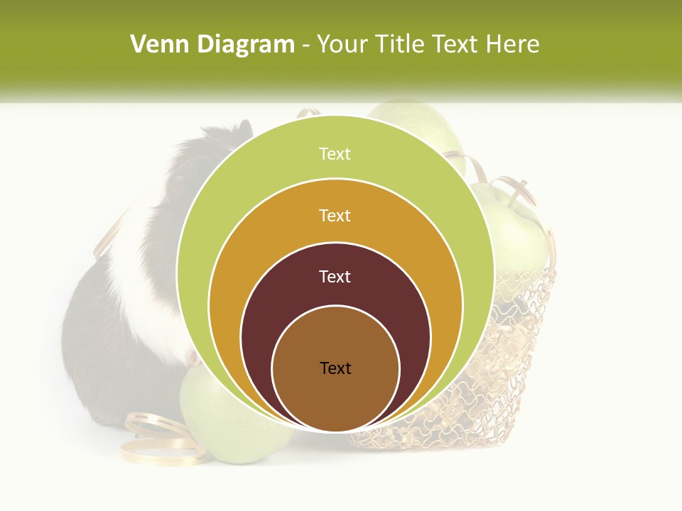 White Cool Cold PowerPoint Template