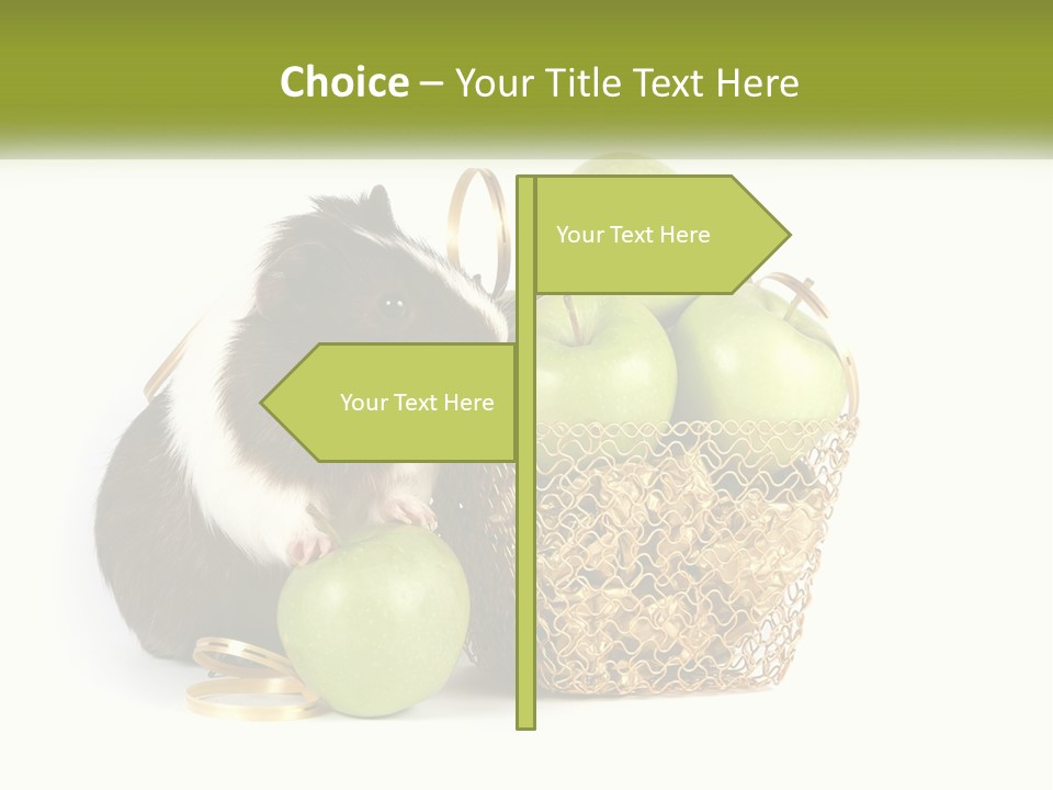 White Cool Cold PowerPoint Template