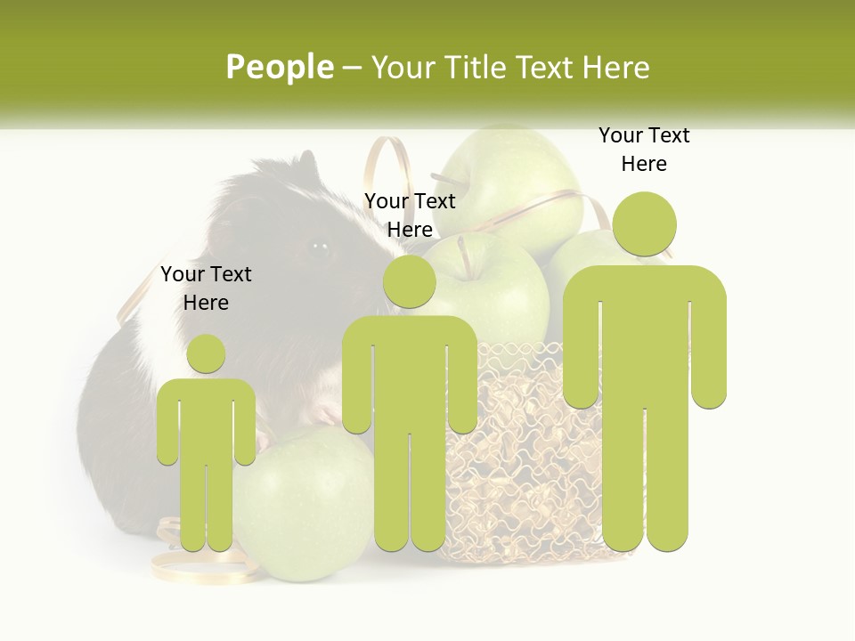 White Cool Cold PowerPoint Template