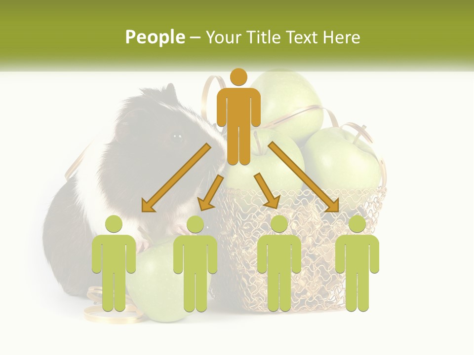 White Cool Cold PowerPoint Template