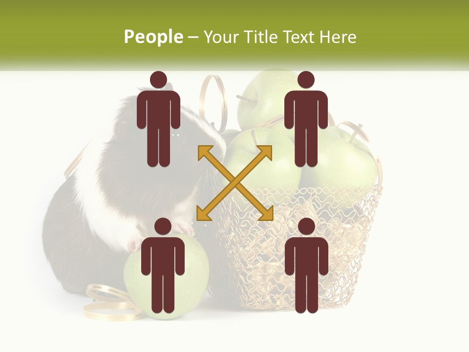 White Cool Cold PowerPoint Template