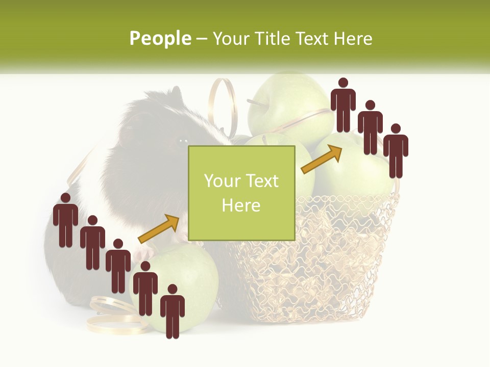 White Cool Cold PowerPoint Template