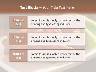 Temperature Switch Air PowerPoint Template