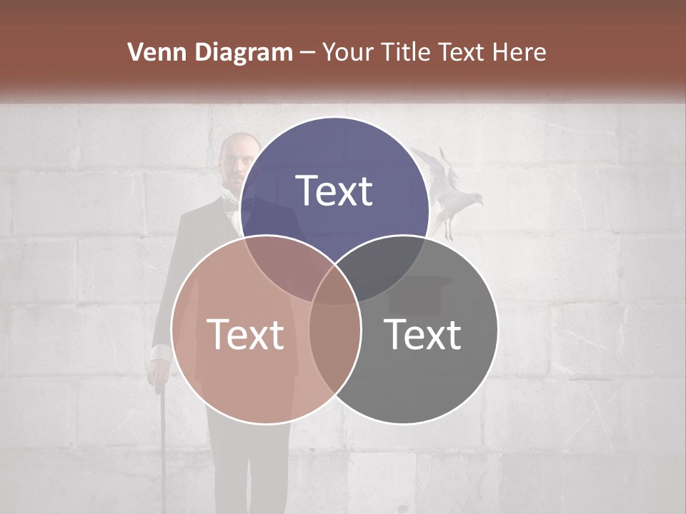 Heat Switch House PowerPoint Template