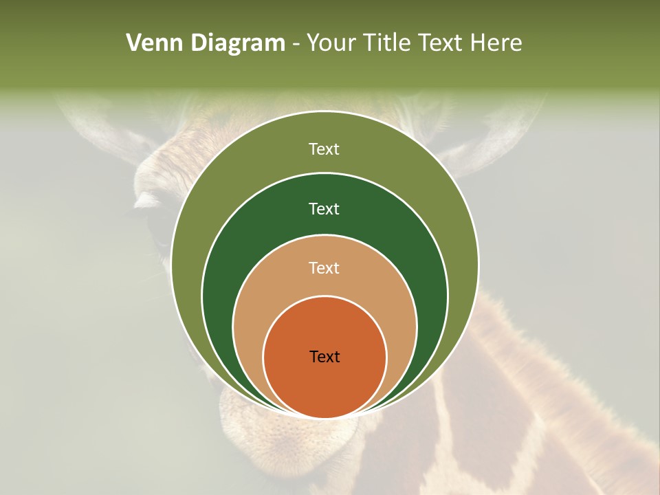 Equipment Heat Energy PowerPoint Template