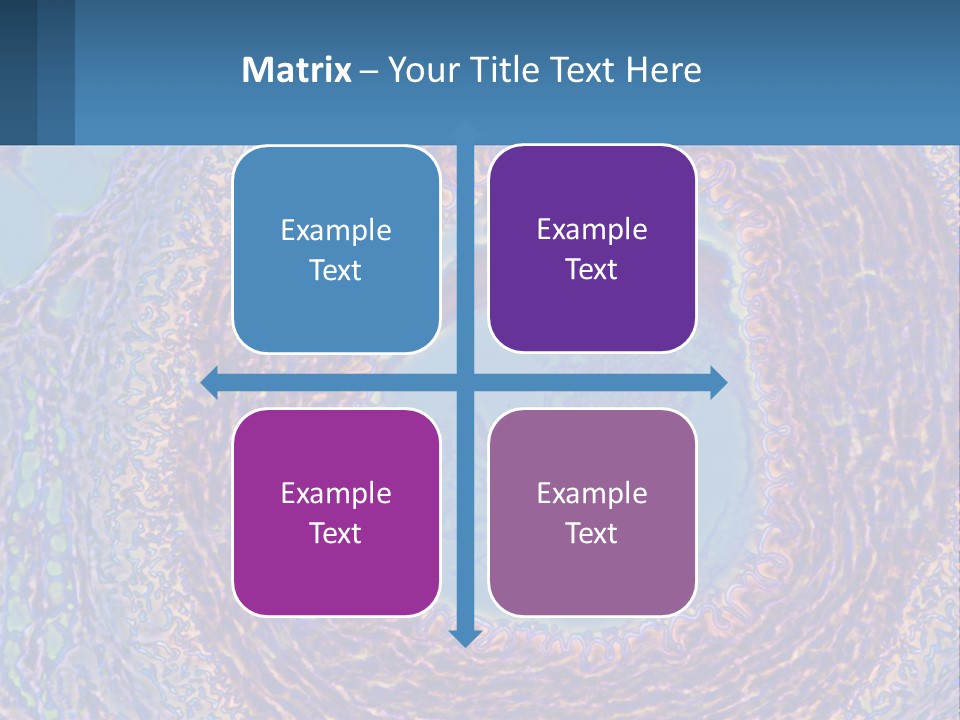 Climate House Switch PowerPoint Template