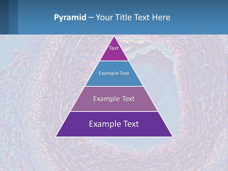 Climate House Switch PowerPoint Template