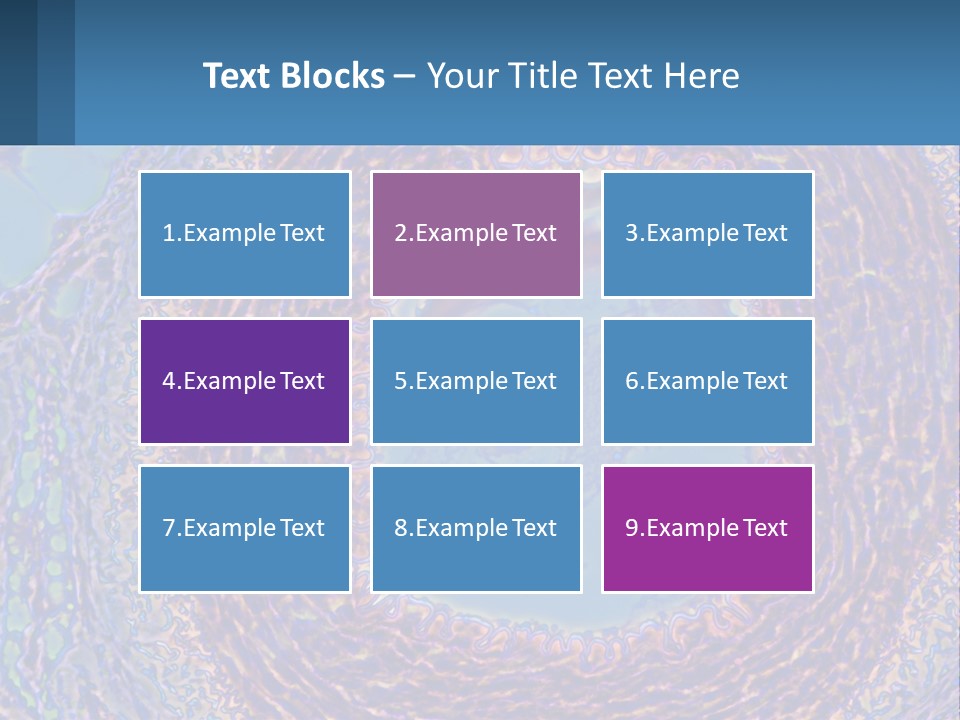Climate House Switch PowerPoint Template