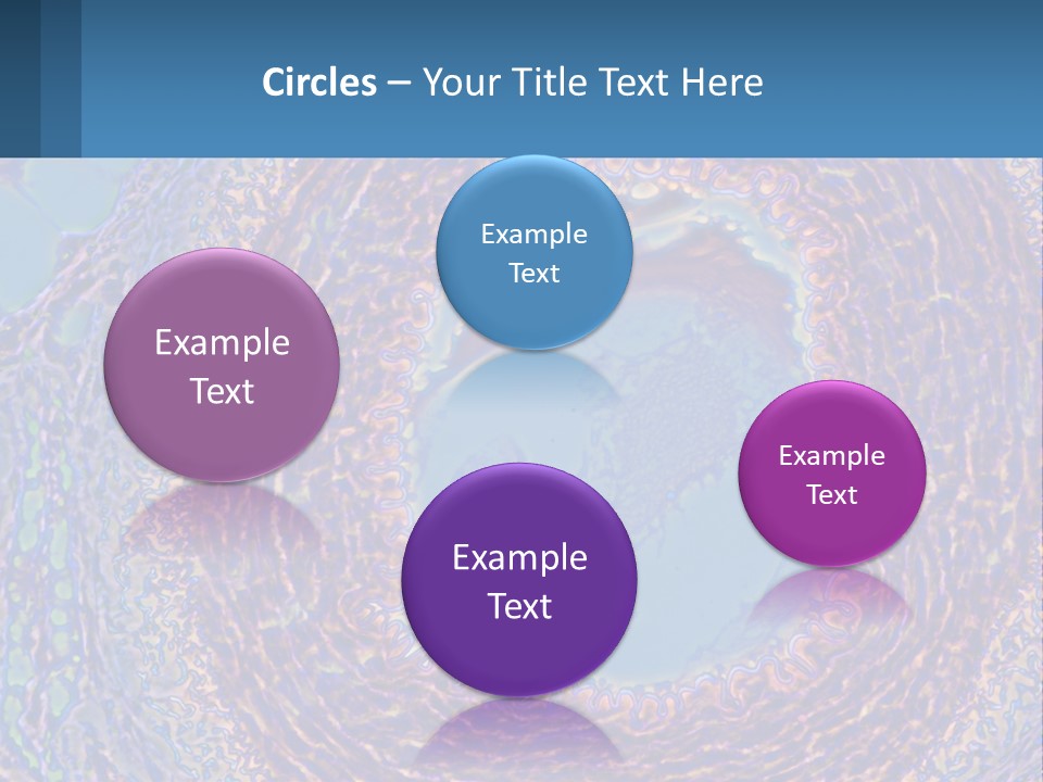 Climate House Switch PowerPoint Template