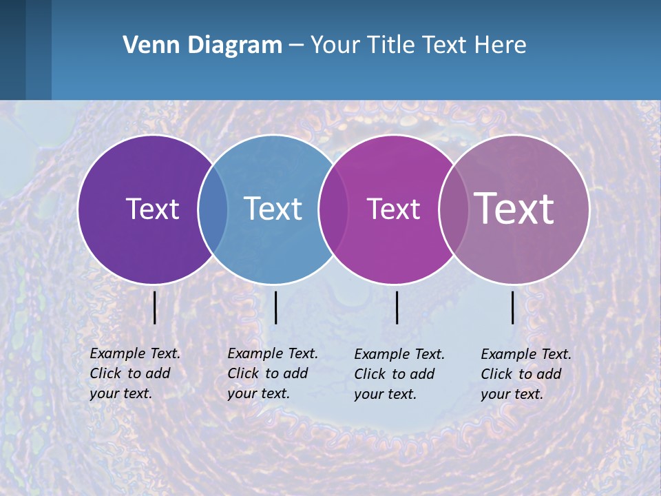 Climate House Switch PowerPoint Template