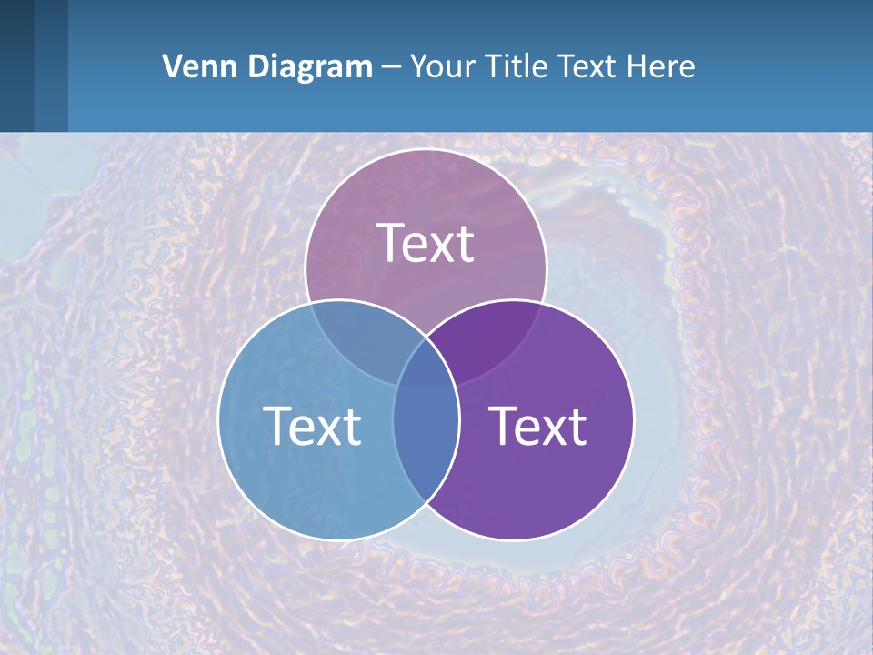 Climate House Switch PowerPoint Template