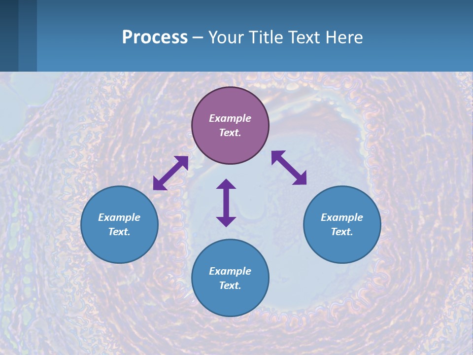 Climate House Switch PowerPoint Template